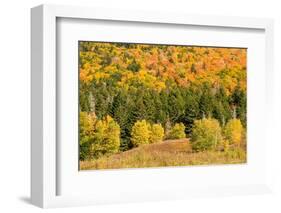 USA, New Hampshire, fall foliage Bretton Woods at base of Mount Washington-Alison Jones-Framed Photographic Print