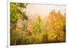 USA, New Hampshire, fall foliage north of Whitefield, along Rt. 3.-Alison Jones-Framed Photographic Print