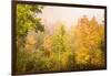 USA, New Hampshire, fall foliage north of Whitefield, along Rt. 3.-Alison Jones-Framed Photographic Print