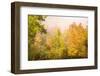 USA, New Hampshire, fall foliage north of Whitefield, along Rt. 3.-Alison Jones-Framed Photographic Print