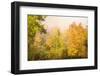 USA, New Hampshire, fall foliage north of Whitefield, along Rt. 3.-Alison Jones-Framed Photographic Print