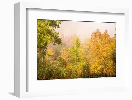 USA, New Hampshire, fall foliage north of Whitefield, along Rt. 3.-Alison Jones-Framed Photographic Print