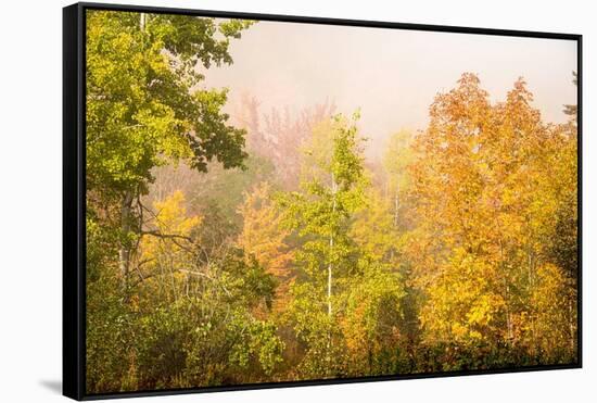 USA, New Hampshire, fall foliage north of Whitefield, along Rt. 3.-Alison Jones-Framed Stretched Canvas