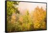 USA, New Hampshire, fall foliage north of Whitefield, along Rt. 3.-Alison Jones-Framed Stretched Canvas