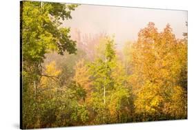 USA, New Hampshire, fall foliage north of Whitefield, along Rt. 3.-Alison Jones-Stretched Canvas