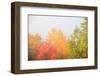 USA, New Hampshire, fall foliage north of Whitefield, along Rt. 3.-Alison Jones-Framed Photographic Print