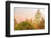 USA, New Hampshire, fall foliage north of Whitefield, along Rt. 3.-Alison Jones-Framed Photographic Print