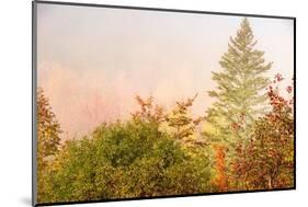 USA, New Hampshire, fall foliage north of Whitefield, along Rt. 3.-Alison Jones-Mounted Photographic Print