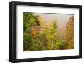 USA, New Hampshire, fall foliage north of Whitefield, along Rt. 3.-Alison Jones-Framed Photographic Print