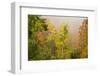 USA, New Hampshire, fall foliage north of Whitefield, along Rt. 3.-Alison Jones-Framed Photographic Print