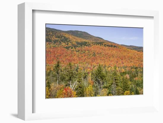 USA, New Hampshire, fall foliage-Alison Jones-Framed Photographic Print