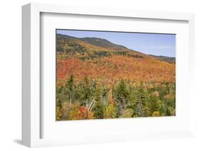 USA, New Hampshire, fall foliage-Alison Jones-Framed Photographic Print