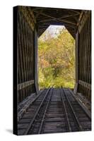 USA, New Hampshire, fall foliage-Alison Jones-Stretched Canvas