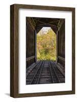 USA, New Hampshire, fall foliage-Alison Jones-Framed Photographic Print