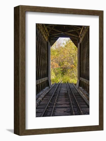 USA, New Hampshire, fall foliage-Alison Jones-Framed Photographic Print