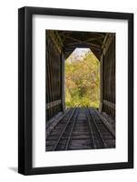 USA, New Hampshire, fall foliage-Alison Jones-Framed Photographic Print