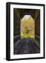 USA, New Hampshire, fall foliage-Alison Jones-Framed Photographic Print