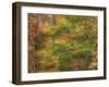 USA, New Hampshire, Franconia hardwood forest of maple trees in Autumn-Sylvia Gulin-Framed Photographic Print
