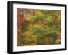 USA, New Hampshire, Franconia hardwood forest of maple trees in Autumn-Sylvia Gulin-Framed Photographic Print