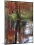 USA, New Hampshire, Jackson, Autumn in New England with Fall Color of Maple Tree reflected-Sylvia Gulin-Mounted Photographic Print