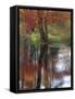 USA, New Hampshire, Jackson, Autumn in New England with Fall Color of Maple Tree reflected-Sylvia Gulin-Framed Stretched Canvas