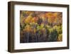 USA, New Hampshire just north of Jackson on highway 16 with the hillside covered in Autumns colors-Sylvia Gulin-Framed Photographic Print