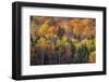 USA, New Hampshire just north of Jackson on highway 16 with the hillside covered in Autumns colors-Sylvia Gulin-Framed Photographic Print