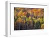 USA, New Hampshire just north of Jackson on highway 16 with the hillside covered in Autumns colors-Sylvia Gulin-Framed Photographic Print