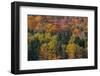 USA, New Hampshire just north of Jackson on highway 16 with the hillside covered in Autumns colors-Sylvia Gulin-Framed Photographic Print