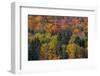 USA, New Hampshire just north of Jackson on highway 16 with the hillside covered in Autumns colors-Sylvia Gulin-Framed Photographic Print