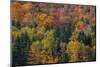 USA, New Hampshire just north of Jackson on highway 16 with the hillside covered in Autumns colors-Sylvia Gulin-Mounted Photographic Print