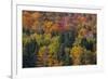 USA, New Hampshire just north of Jackson on highway 16 with the hillside covered in Autumns colors-Sylvia Gulin-Framed Photographic Print