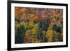 USA, New Hampshire just north of Jackson on highway 16 with the hillside covered in Autumns colors-Sylvia Gulin-Framed Photographic Print