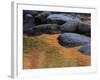 Usa, New Hampshire, Lincoln. Autumn leaves reflected in pond.-Merrill Images-Framed Photographic Print