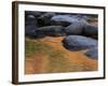 Usa, New Hampshire, Lincoln. Autumn leaves reflected in pond.-Merrill Images-Framed Photographic Print
