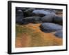 Usa, New Hampshire, Lincoln. Autumn leaves reflected in pond.-Merrill Images-Framed Photographic Print