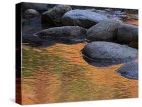 Usa, New Hampshire, Lincoln. Autumn leaves reflected in pond.-Merrill Images-Stretched Canvas