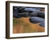 Usa, New Hampshire, Lincoln. Autumn leaves reflected in pond.-Merrill Images-Framed Photographic Print