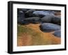 Usa, New Hampshire, Lincoln. Autumn leaves reflected in pond.-Merrill Images-Framed Photographic Print