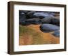 Usa, New Hampshire, Lincoln. Autumn leaves reflected in pond.-Merrill Images-Framed Photographic Print