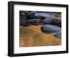 Usa, New Hampshire, Lincoln. Autumn leaves reflected in pond.-Merrill Images-Framed Photographic Print