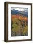 USA, New Hampshire, New England Fall colors on hillsides along highway 16 north of Jackson-Sylvia Gulin-Framed Photographic Print