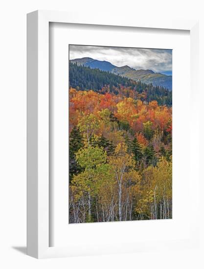 USA, New Hampshire, New England Fall colors on hillsides along highway 16 north of Jackson-Sylvia Gulin-Framed Photographic Print