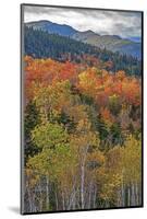 USA, New Hampshire, New England Fall colors on hillsides along highway 16 north of Jackson-Sylvia Gulin-Mounted Photographic Print