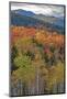 USA, New Hampshire, New England Fall colors on hillsides along highway 16 north of Jackson-Sylvia Gulin-Mounted Photographic Print