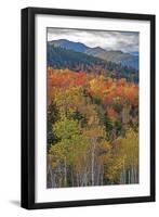 USA, New Hampshire, New England Fall colors on hillsides along highway 16 north of Jackson-Sylvia Gulin-Framed Premium Photographic Print