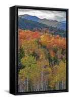 USA, New Hampshire, New England Fall colors on hillsides along highway 16 north of Jackson-Sylvia Gulin-Framed Stretched Canvas