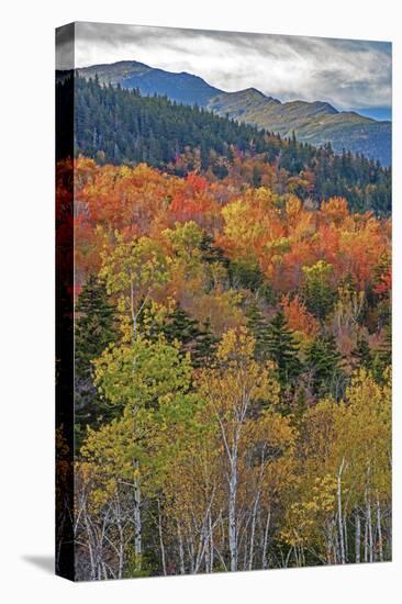 USA, New Hampshire, New England Fall colors on hillsides along highway 16 north of Jackson-Sylvia Gulin-Stretched Canvas