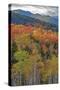 USA, New Hampshire, New England Fall colors on hillsides along highway 16 north of Jackson-Sylvia Gulin-Stretched Canvas