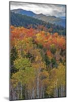 USA, New Hampshire, New England Fall colors on hillsides along highway 16 north of Jackson-Sylvia Gulin-Mounted Photographic Print